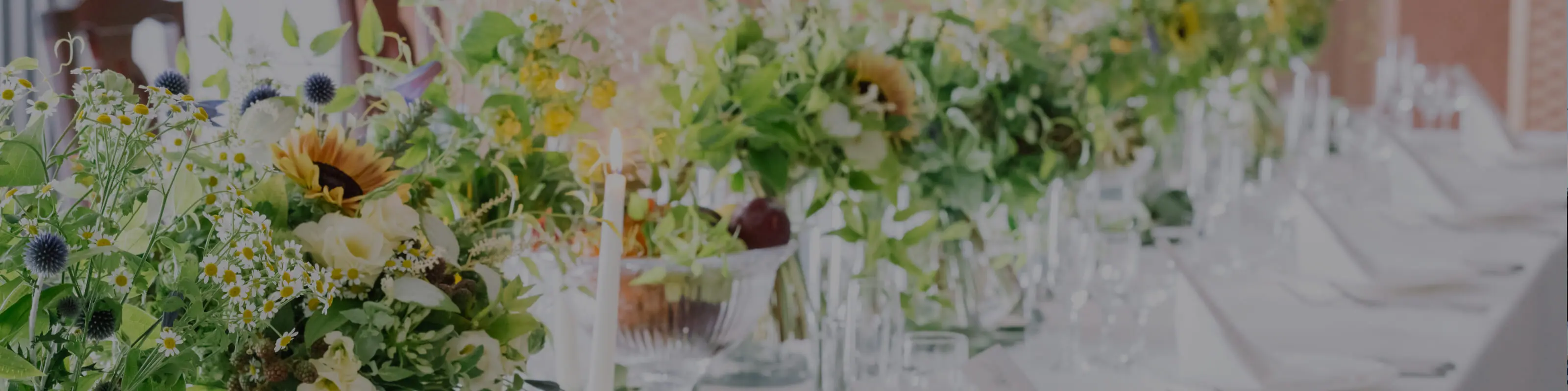 プライバシーポリシー