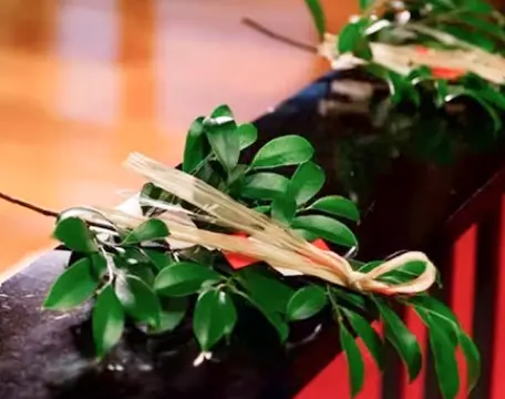 イメージ イメージ