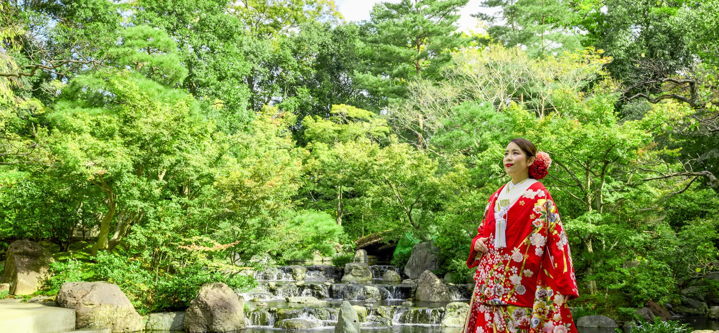 イメージ イメージ